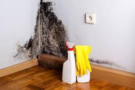 Best HVAC Mold Inspection and Cleaning  in USA